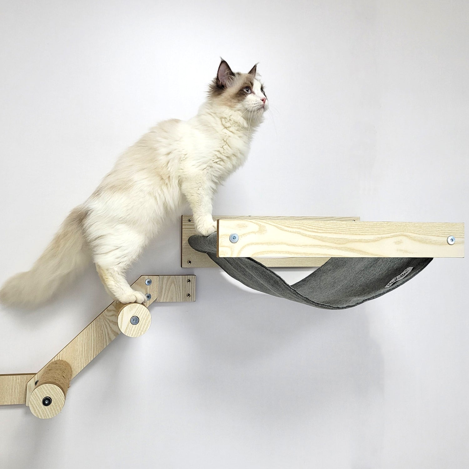 Cat clearance hammock shelf