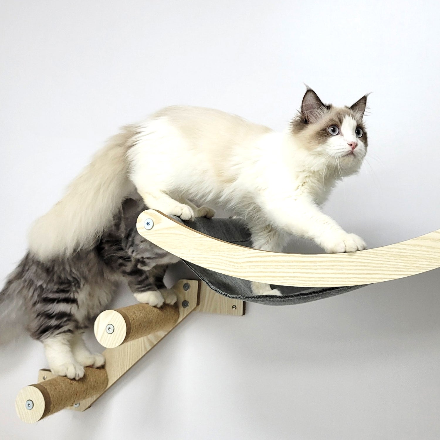 Hanging Cat Cuddle Pod - Design Miss