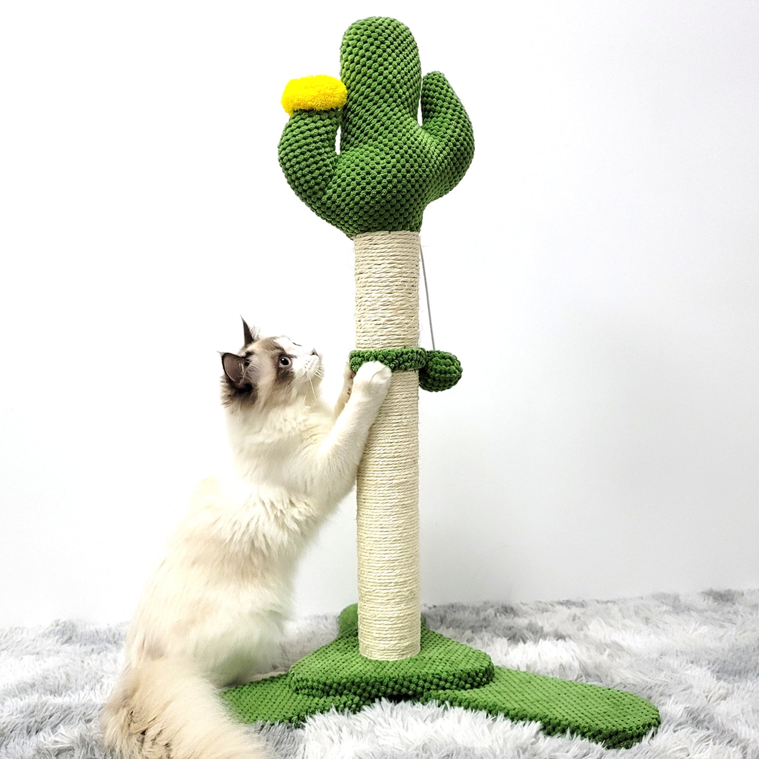 Sisal Rope vs. Sisal Fabric for Cat Scratching Posts: Key